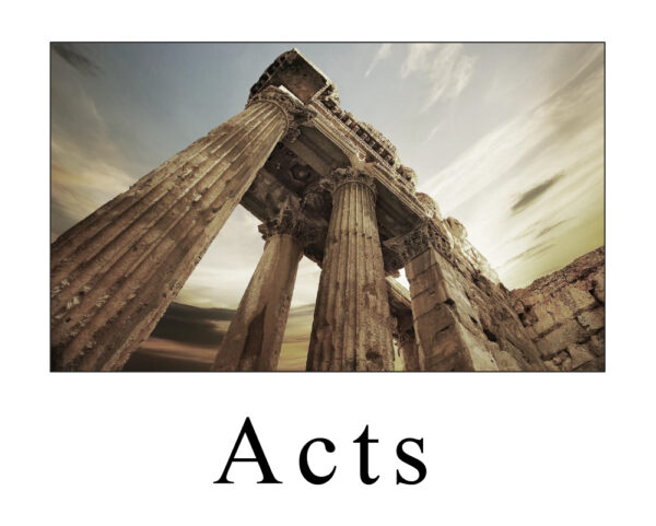 Acts Study Guide