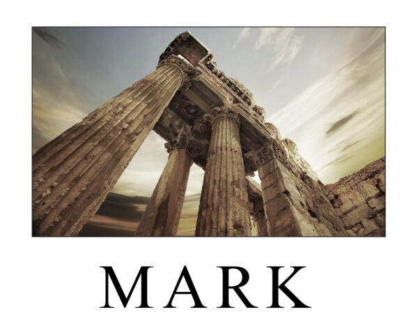 Mark Study Guide