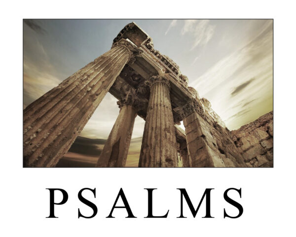 Psalms Study Guide